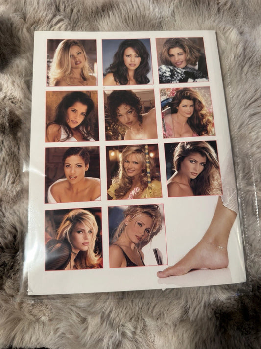 Playboy Playmate Review - Karen McDougal 1998