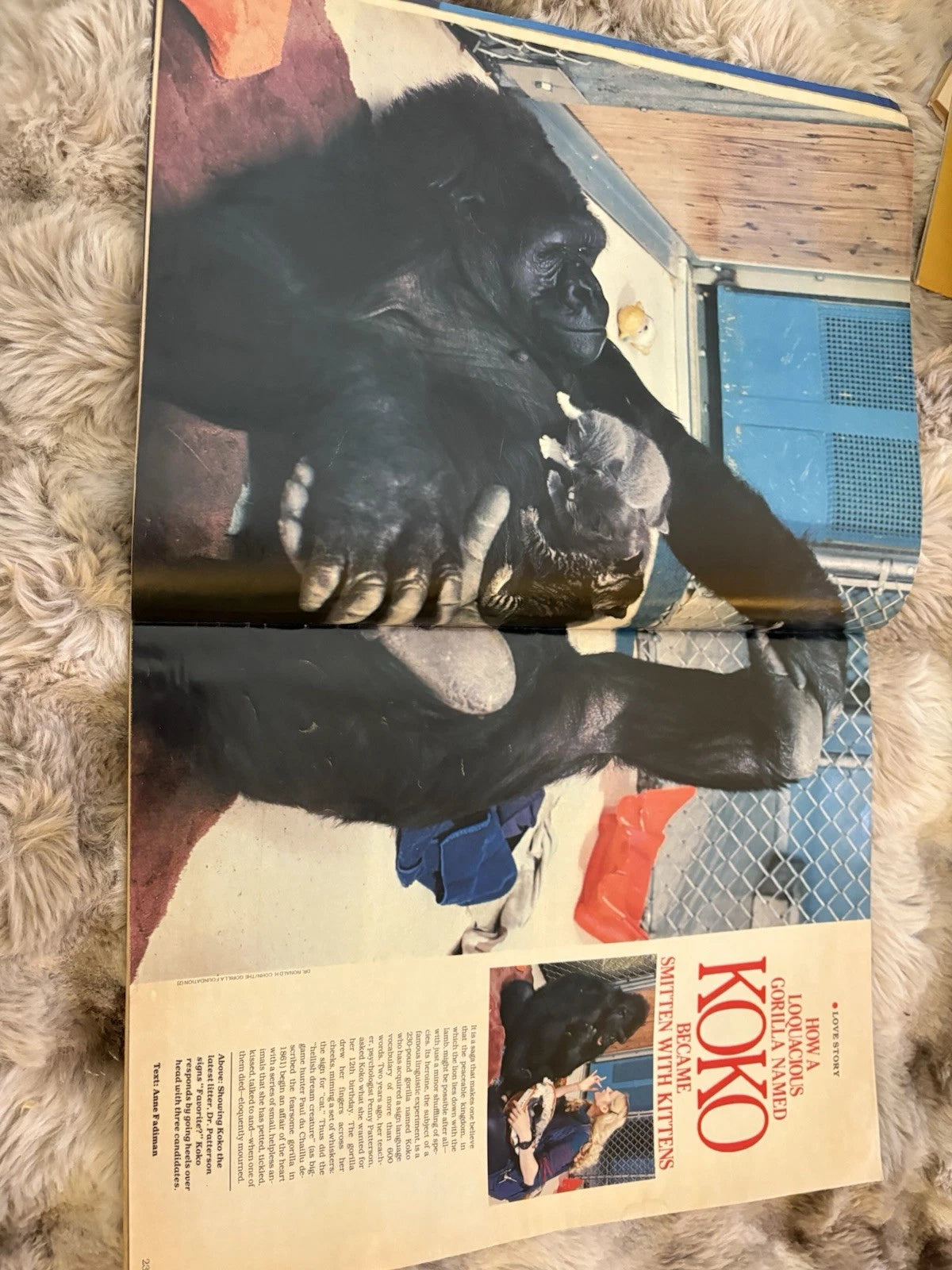 LIFE Magazine July 1985 – AIDS - Koko Interview – Water Damage – Sold As Is