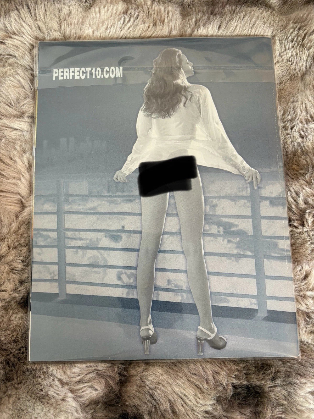 Perfect 10 Magazine Winter 2004 | Adult Collectible | Natural Models Issue