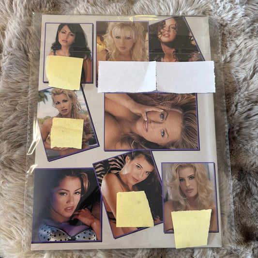 Playboy Voluptuous Vixens Part 3 III