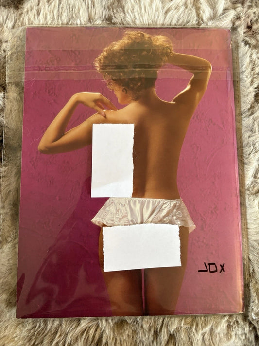 Vintage Playboy's Book of Lingerie 1988