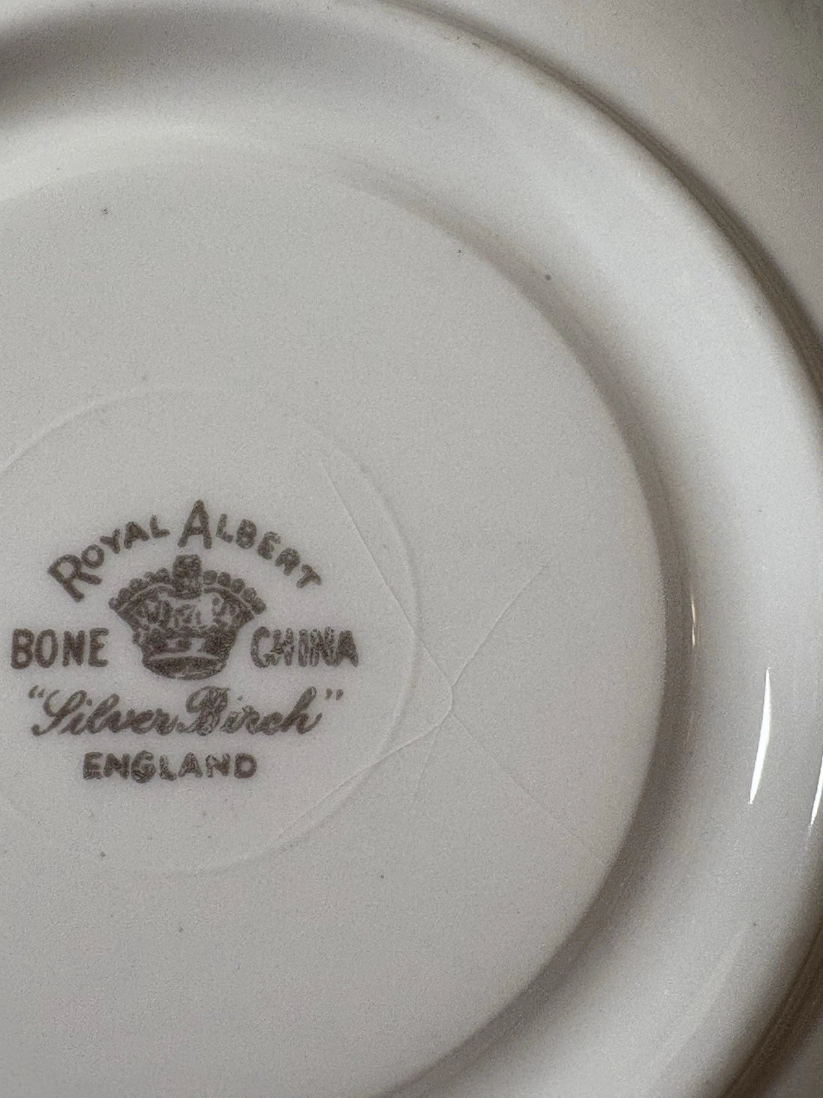 Royal Albert Silver Birch Teacup & Saucer – Both Cracked –Bone China- Sold As Is