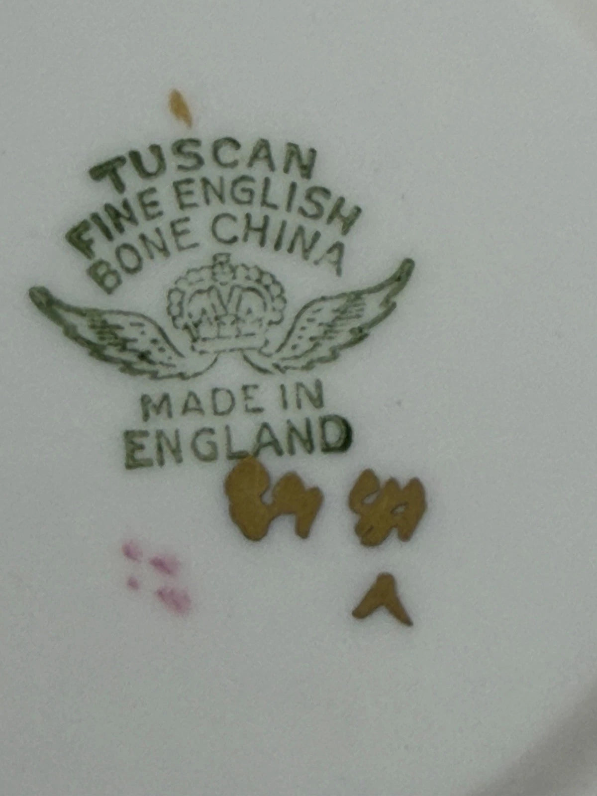 Tuscan china teacup and saucer - Pings