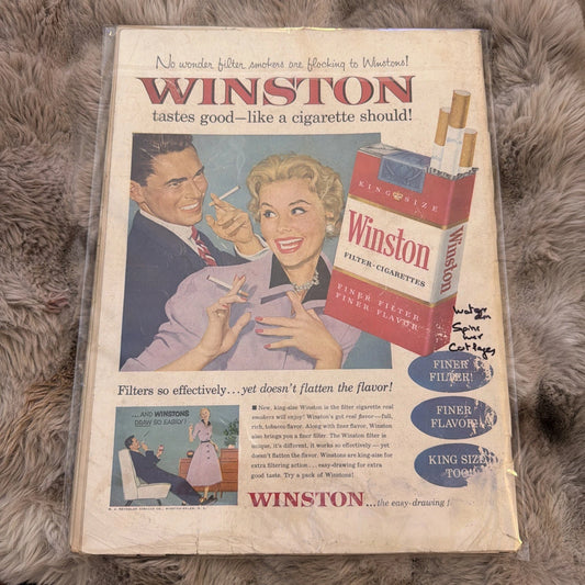 Life Magazine November 15, 1954