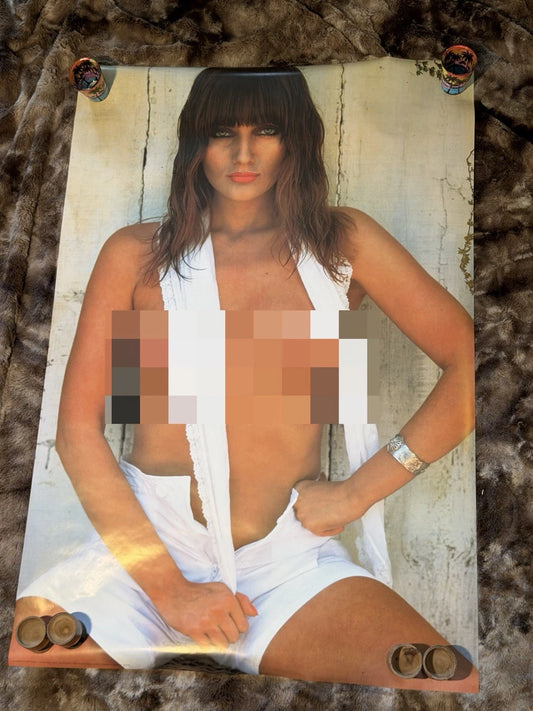 Vintage Pinup Poster
