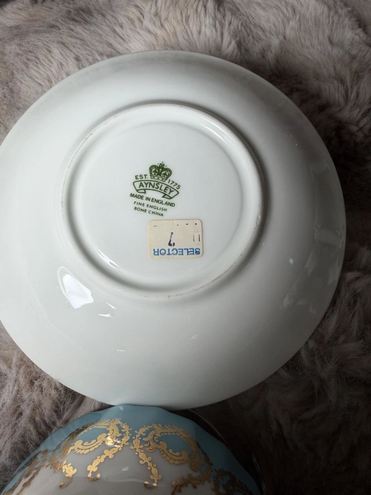 Aynsley Oban Cottage Garden Teacup & Saucer Bone China Butterfly Blue