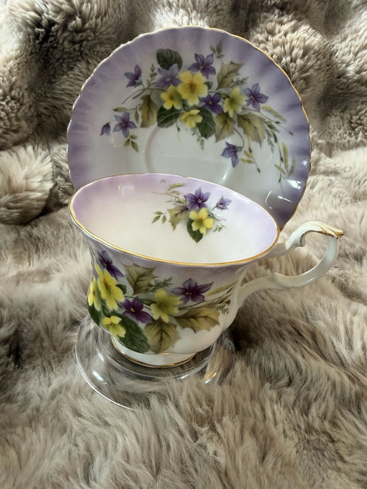 Royal Albert Radiance Series Tea Cup And Saucer - Pings
