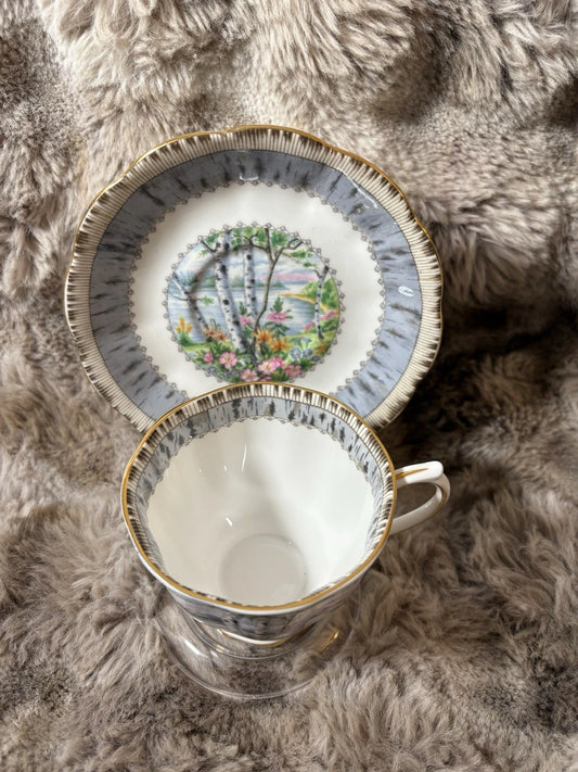 Vintage Royal Albert Silver Birch Teacup & Saucer Set – Bone China England-Pings