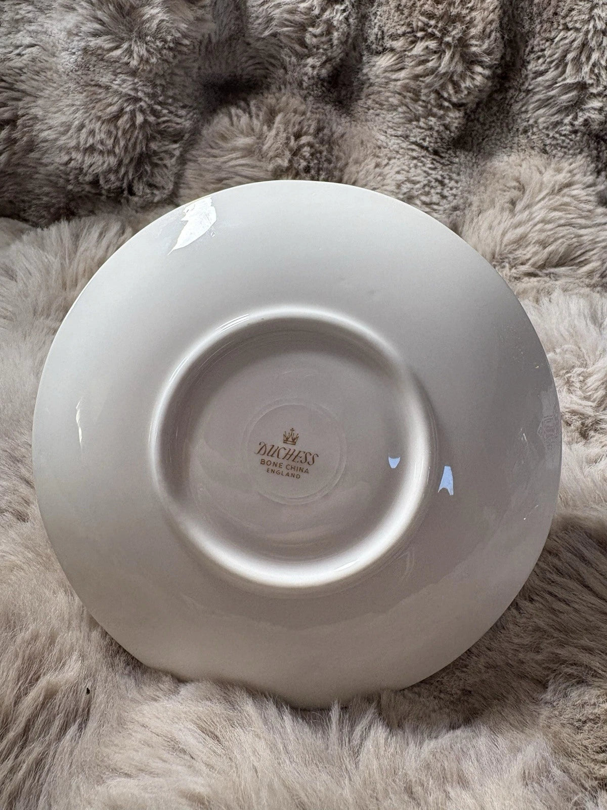 Duchess Bone China Tea Cup & Saucer - Pings
