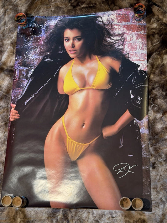 Vintage Pinup Poster