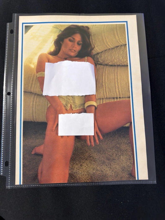 Vintage 1970s Playboy Magazine Original Double-Sided Page Glamour Art