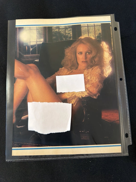 Vintage 1970s Playboy Original Double-Sided Glamour Photo Page Wall Art