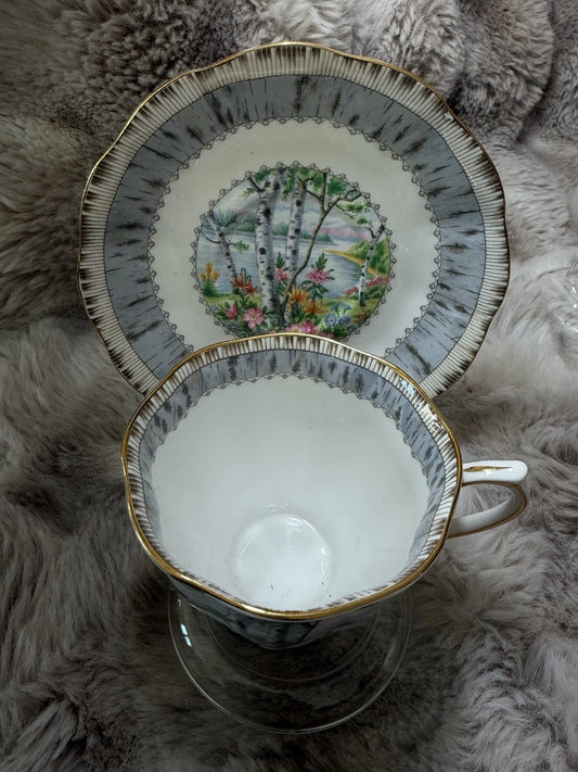 Beautiful Royal Albert Silver Birch Tea Cup & Saucer Bone China England Vintage