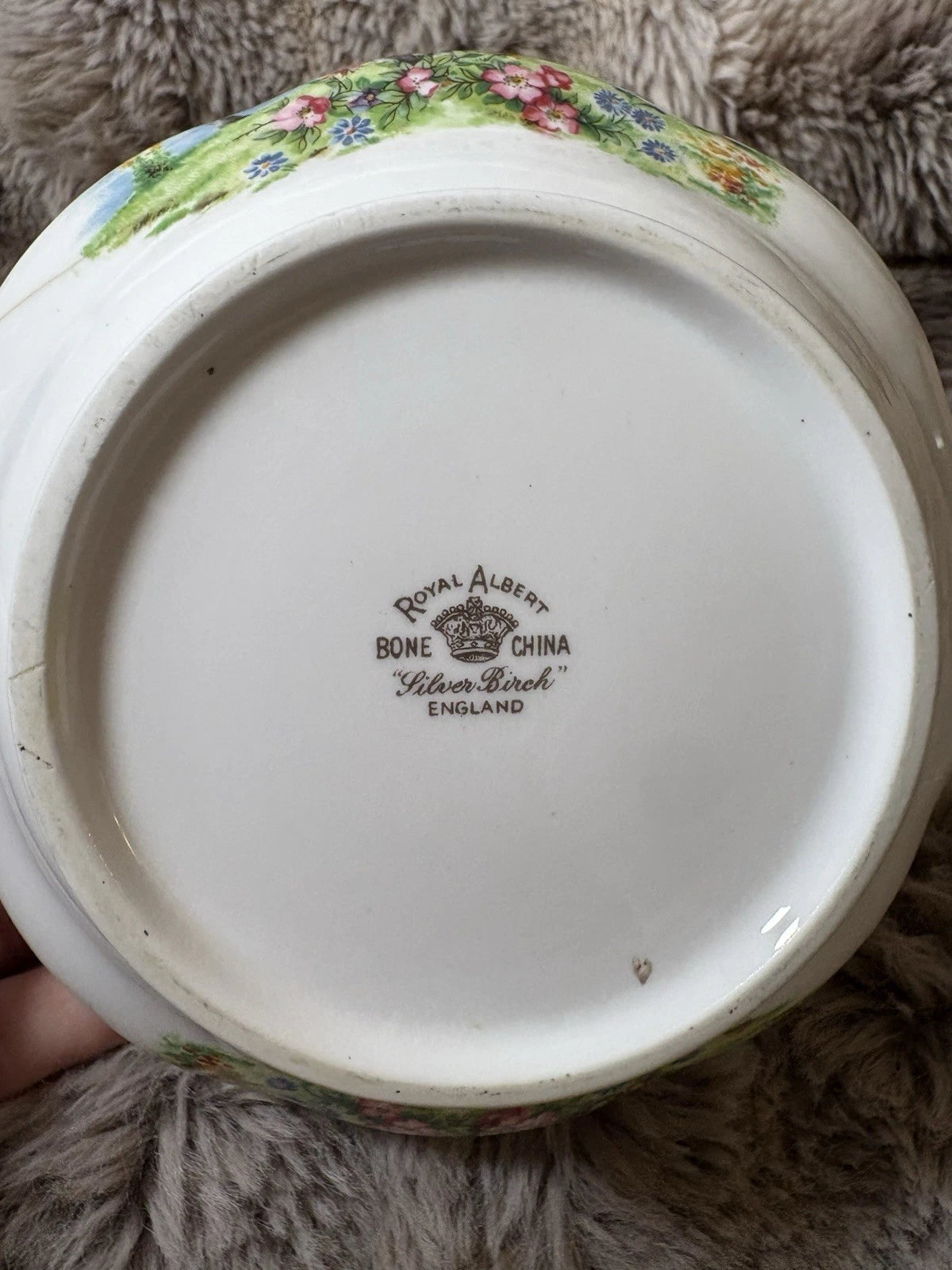 Royal Albert Silver Birch Teapot & Trivet/Stand –Bone China England-crack/chip