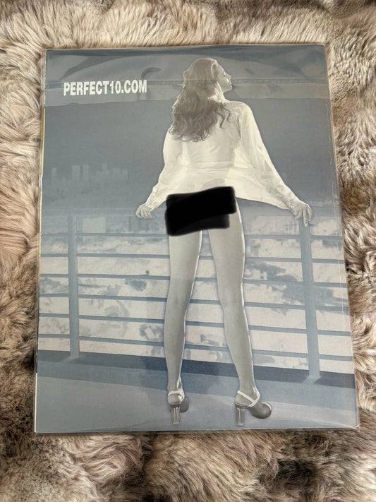 Perfect 10 Magazine Winter 2004 | Adult Collectible | Natural Models Issue