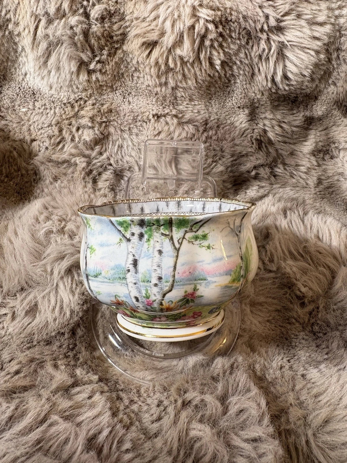 Royal Albert Silver Birch Sugar Bowl – Bone China – England