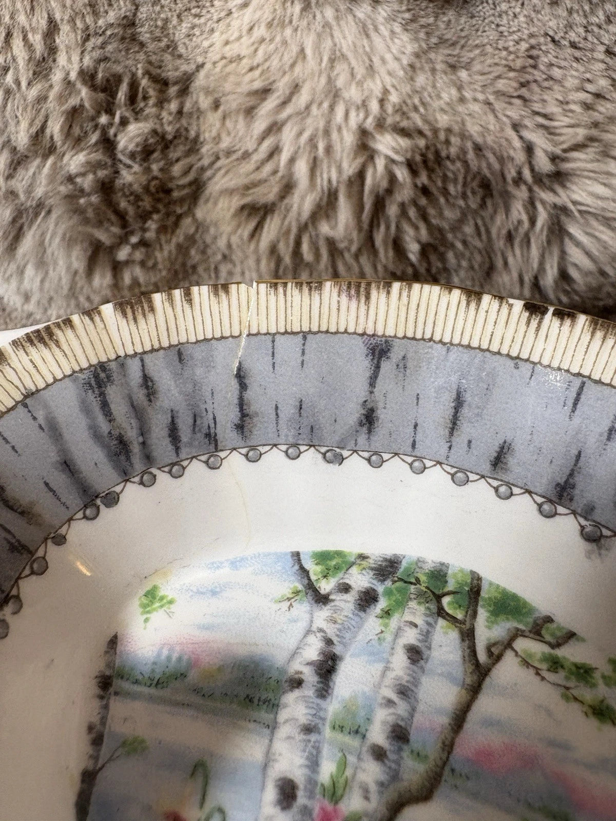 Royal Albert Silver Birch Relish Dish – Bone China – Cracked - Sold As Is