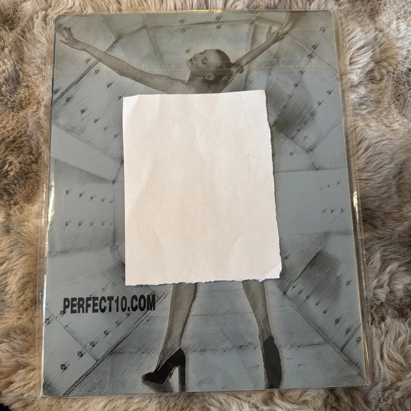 Perfect 10 Magazine Dec/Jan 2001 – All Natural – 15 Models – Collectible Glamour