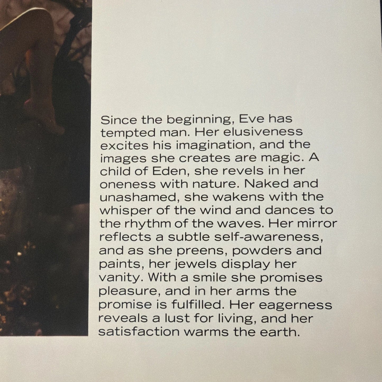 1974 Eve Today Playboy Press Book | Rare Vintage Photography Collector Edition