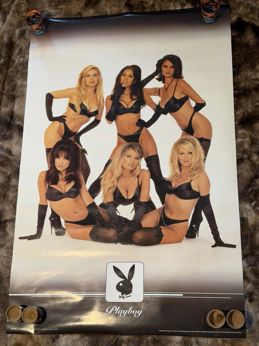 Vintage Playboy Poster