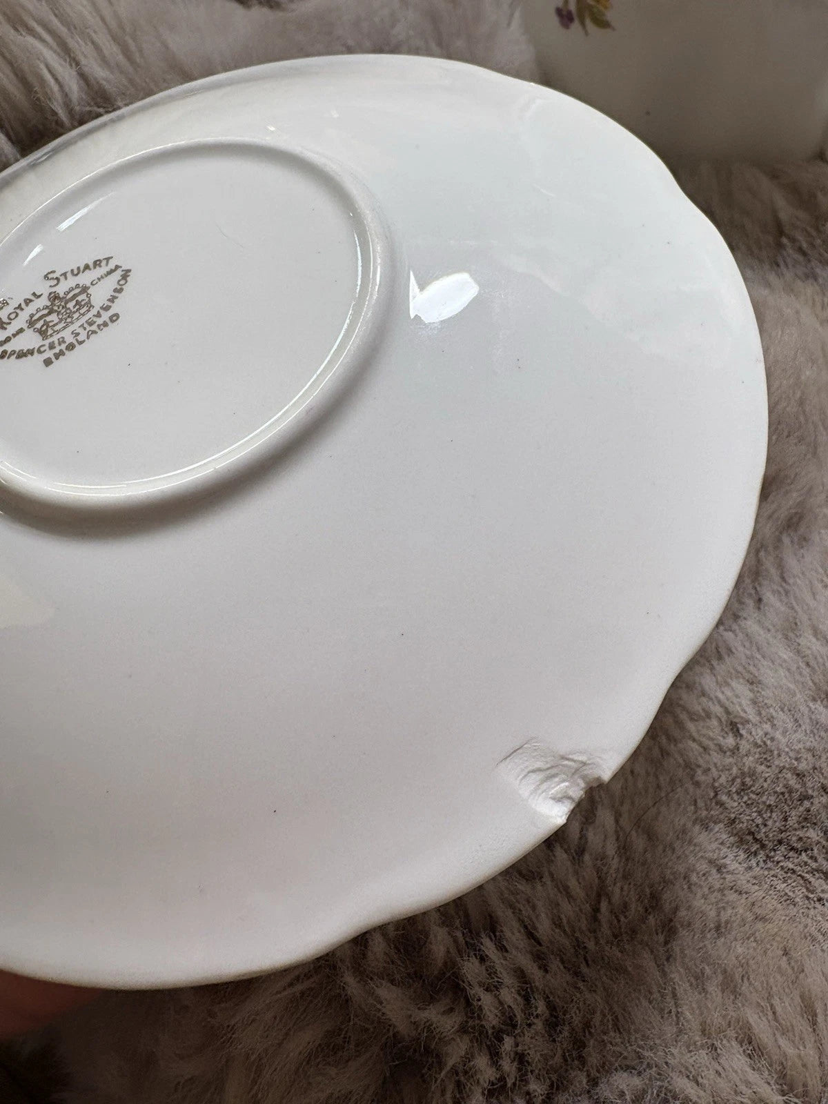 Royal Stuart Bone China Cup & Saucer - Chip In Saucer