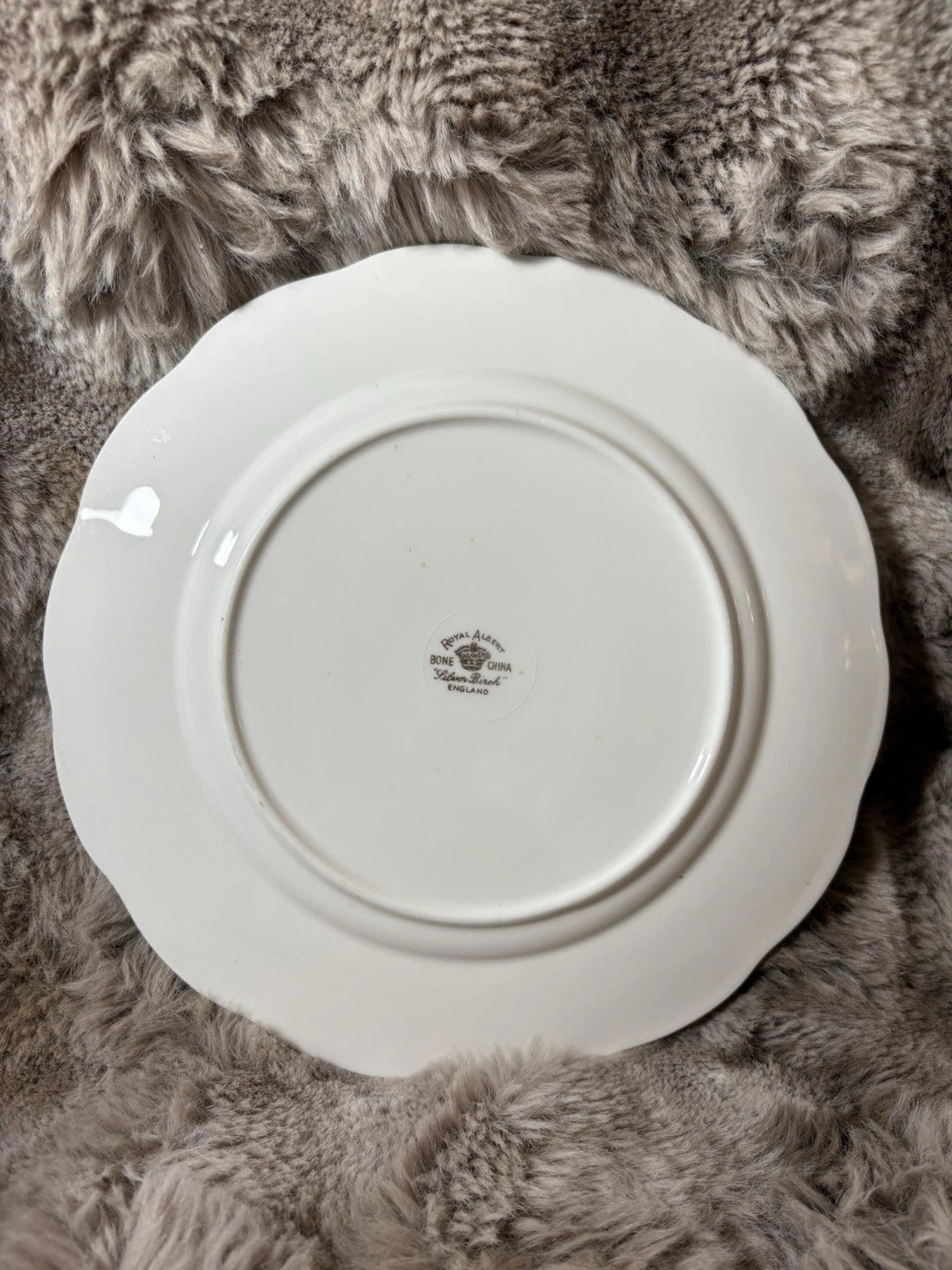 Royal Albert Silver Birch 8” Salad Plate – Bone China England