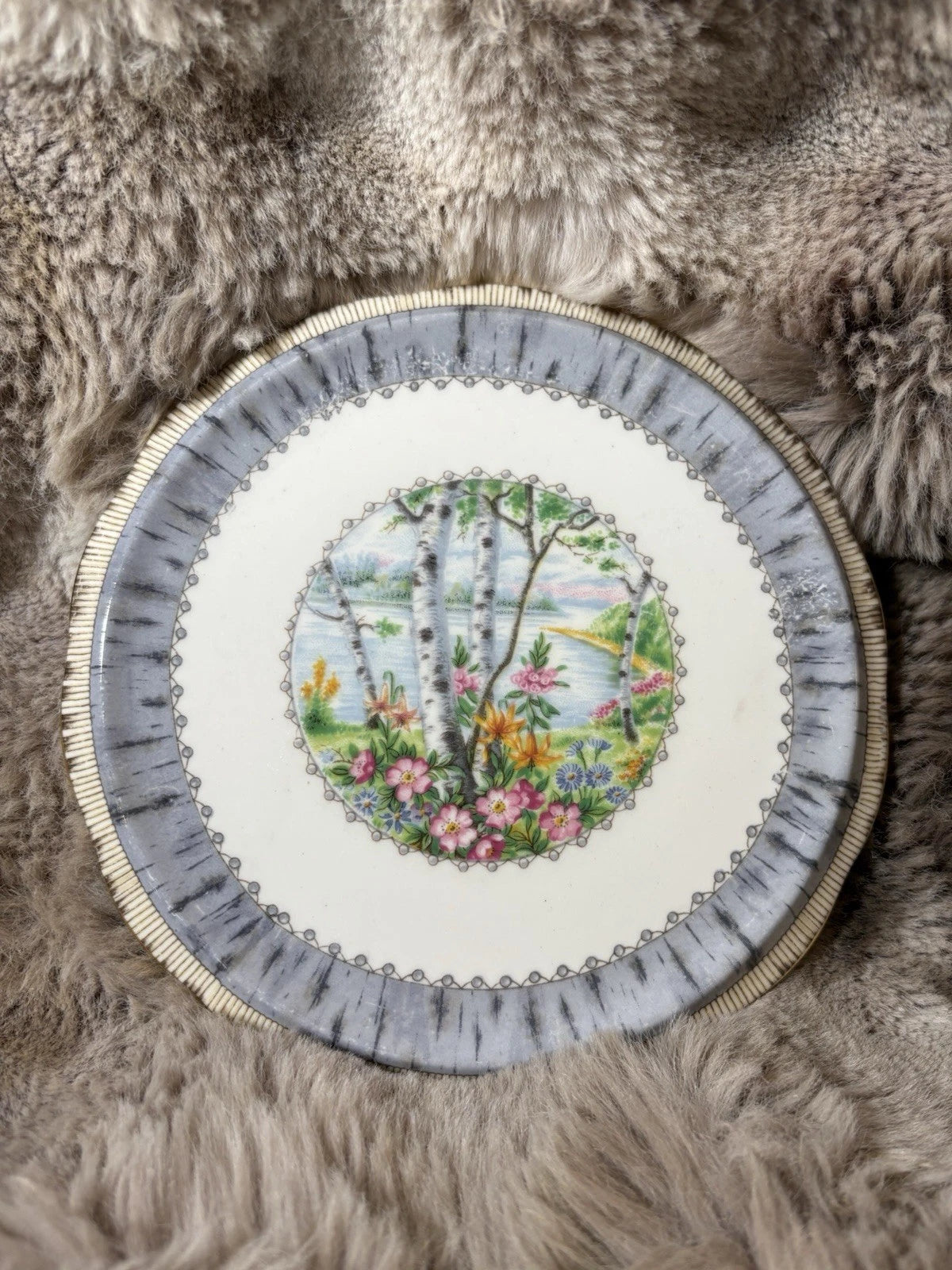 Royal Albert Silver Birch Teapot & Trivet/Stand –Bone China England-crack/chip