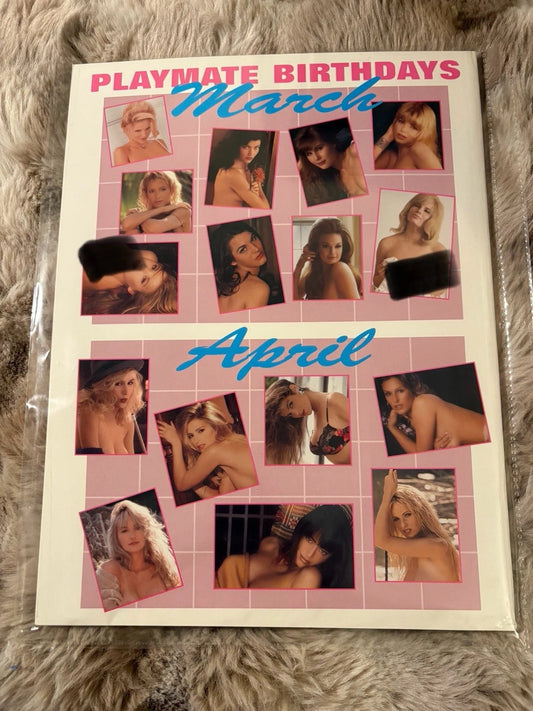 Playboy’s Celebrating Centerfolds Vol. 2 – Karen McDougal – Like New - 1999