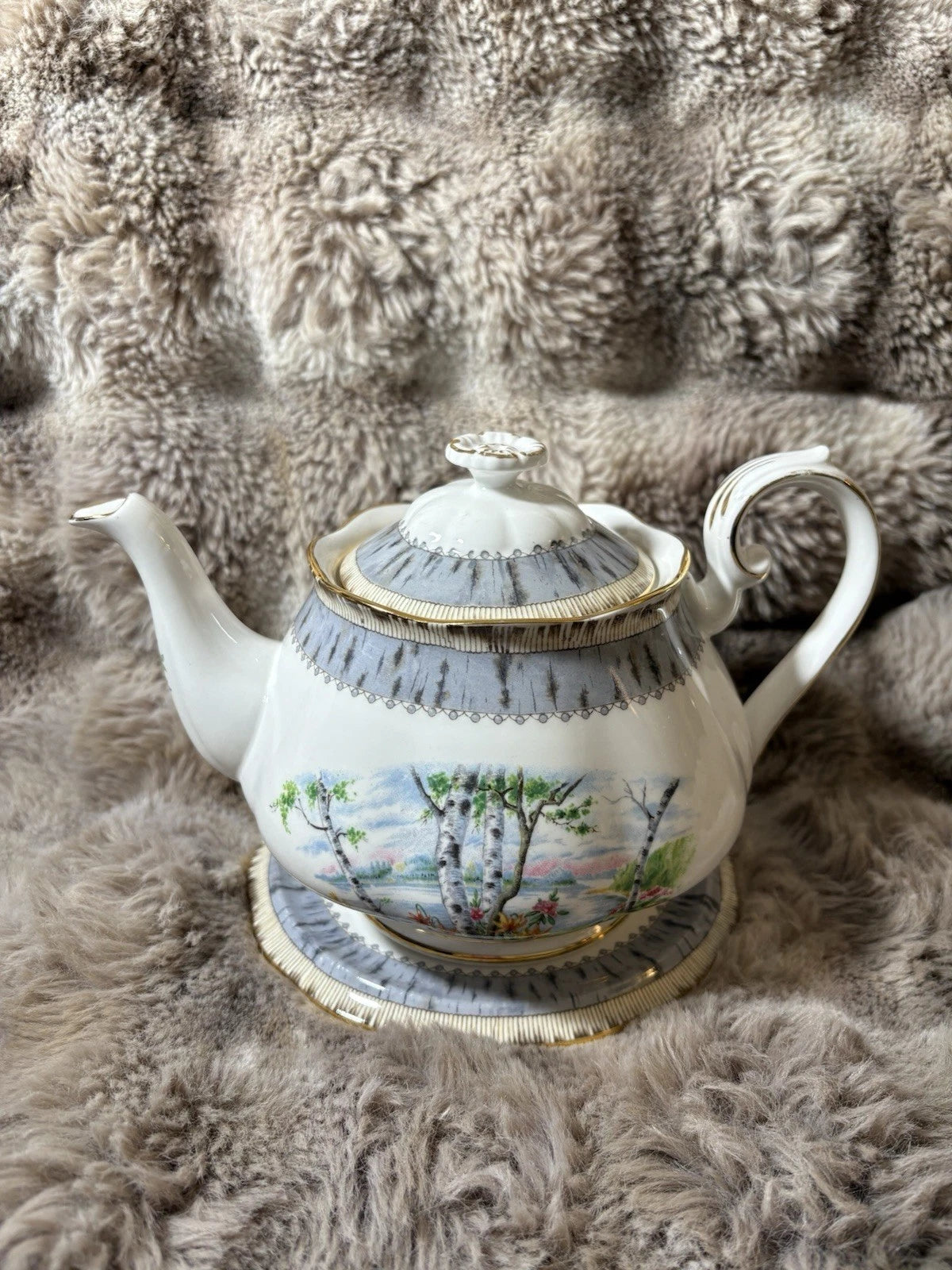 Royal Albert Silver Birch Teapot & Trivet/Stand –Bone China England-crack/chip