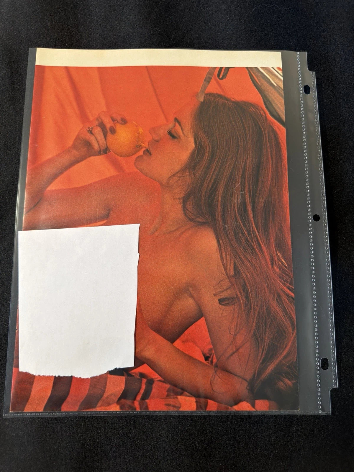 Vintage Playboy Magazine Photo Page Glamour Wall Art Ephemera - Mesina Miller