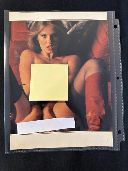 Vintage 1970s Playboy Sheila Mullen 4-Page Photo Article Lot Wall Art