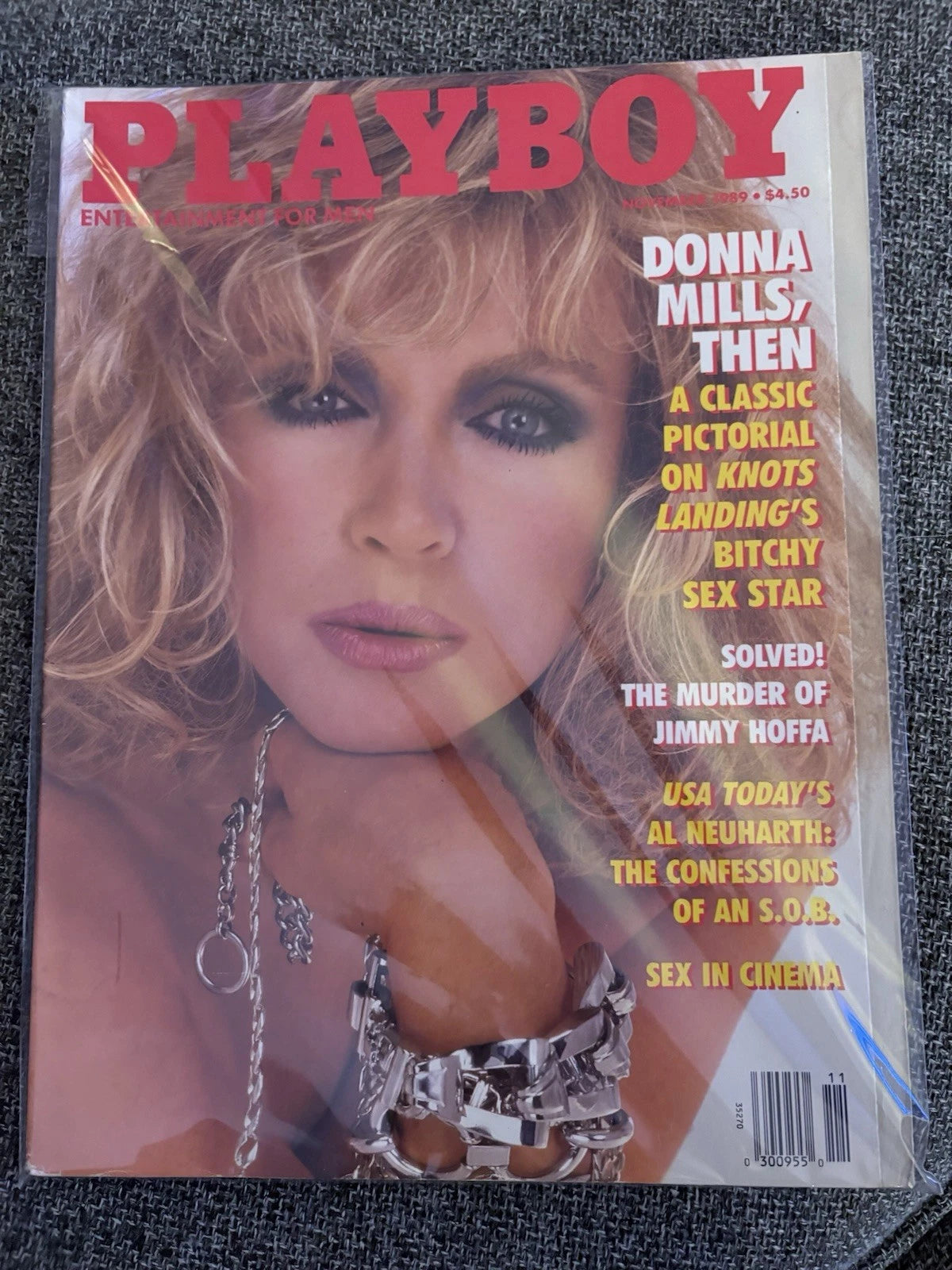NOVEMBER 1989 PLAYBOY MAGAZINE - DONNA MILLS COVER