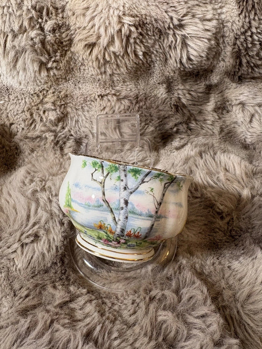 Royal Albert Silver Birch Sugar Bowl – Bone China – England
