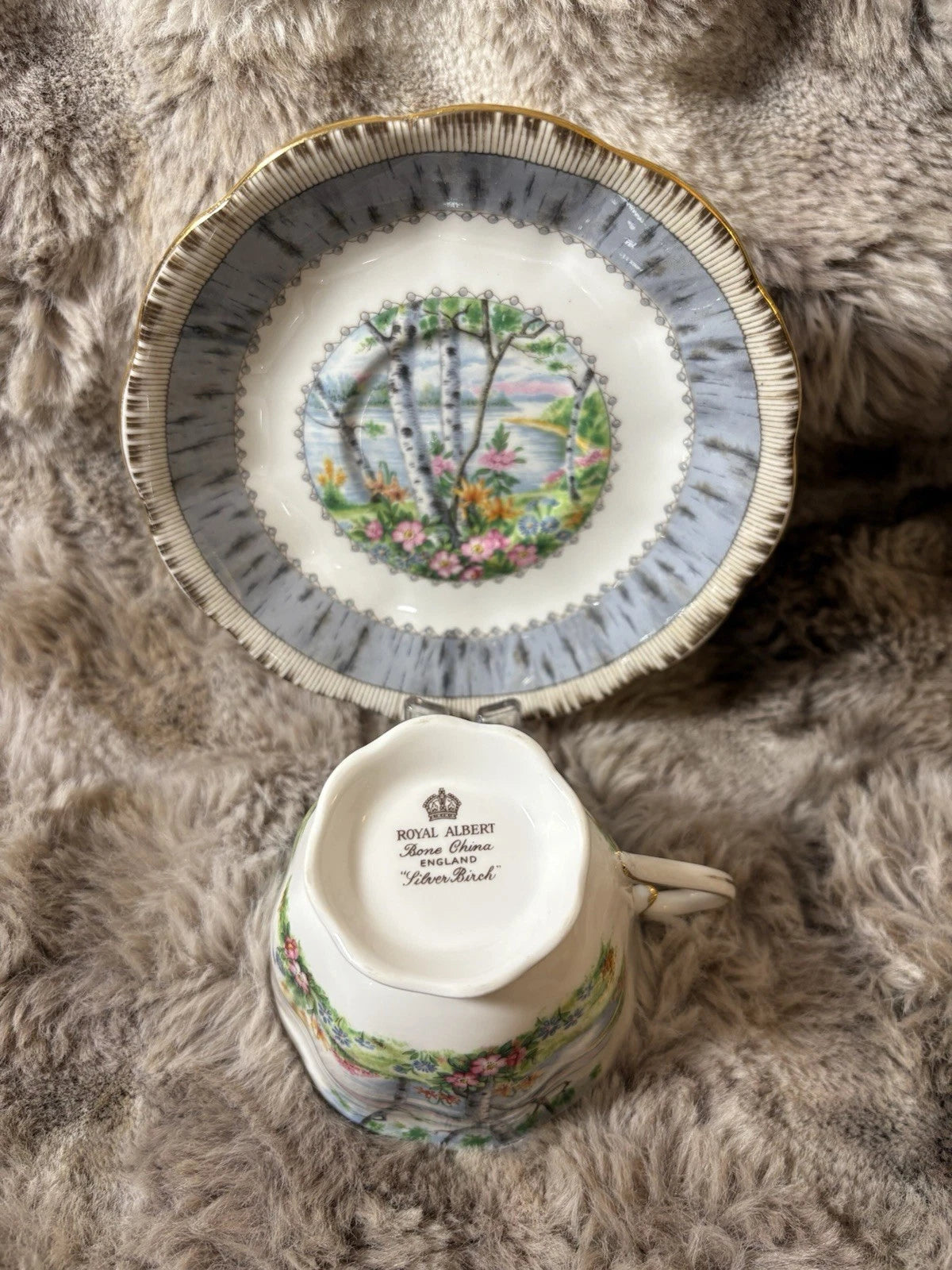 Royal Albert Silver Birch Teacup & Saucer – Both Cracked –Bone China- Sold As Is