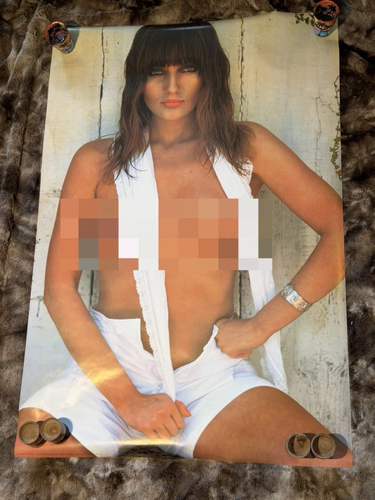 Vintage Pinup Poster