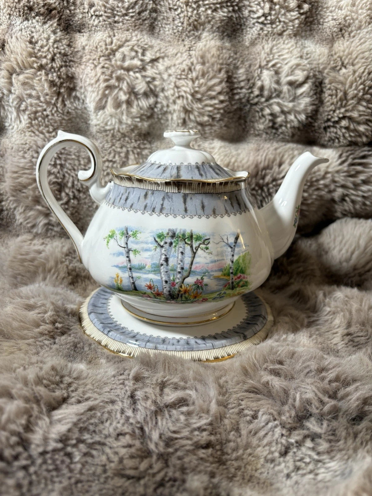 Royal Albert Silver Birch Teapot & Trivet/Stand –Bone China England-crack/chip