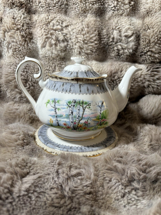 Royal Albert Silver Birch Teapot & Trivet/Stand –Bone China England-crack/chip