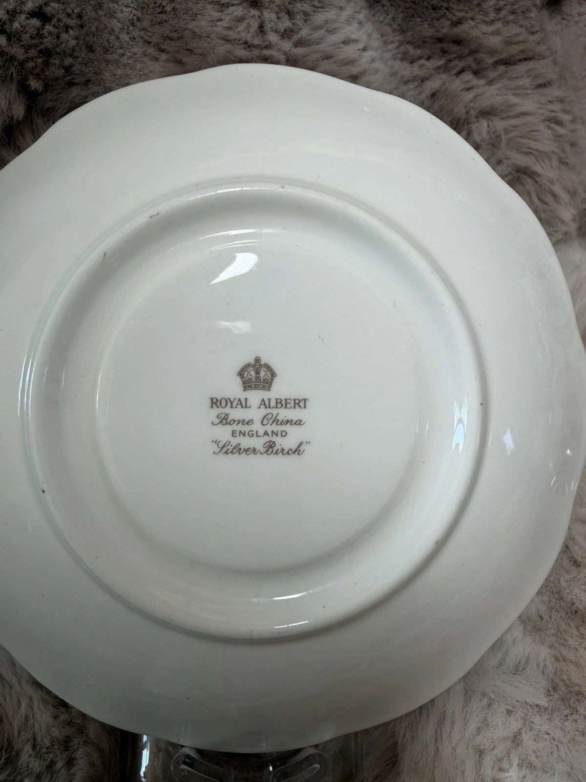 Beautiful Royal Albert Silver Birch Tea Cup & Saucer Bone China England Vintage
