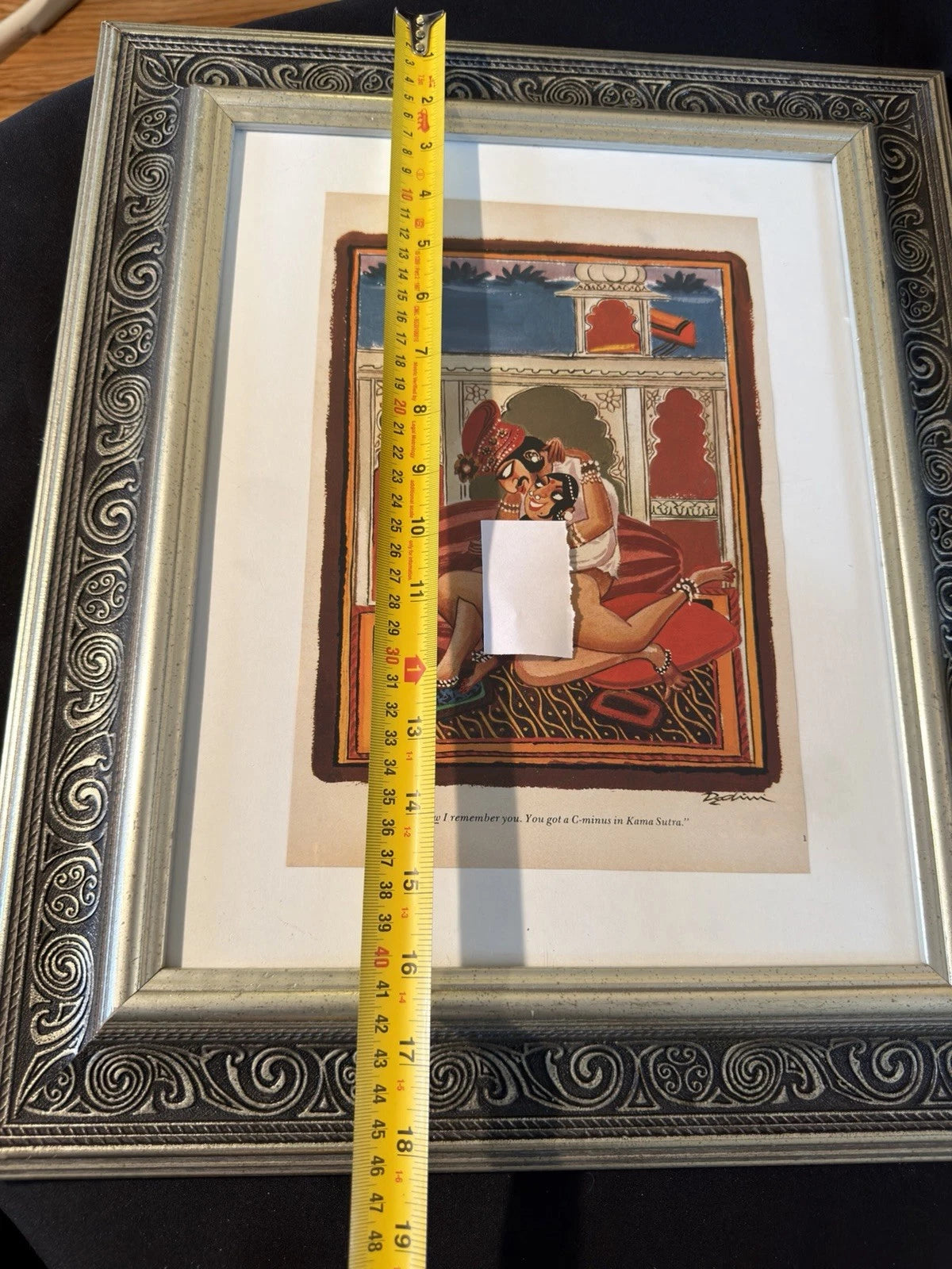 Vintage 1970s Playboy Framed Erotic Cartoon Wall Art Retro Humor