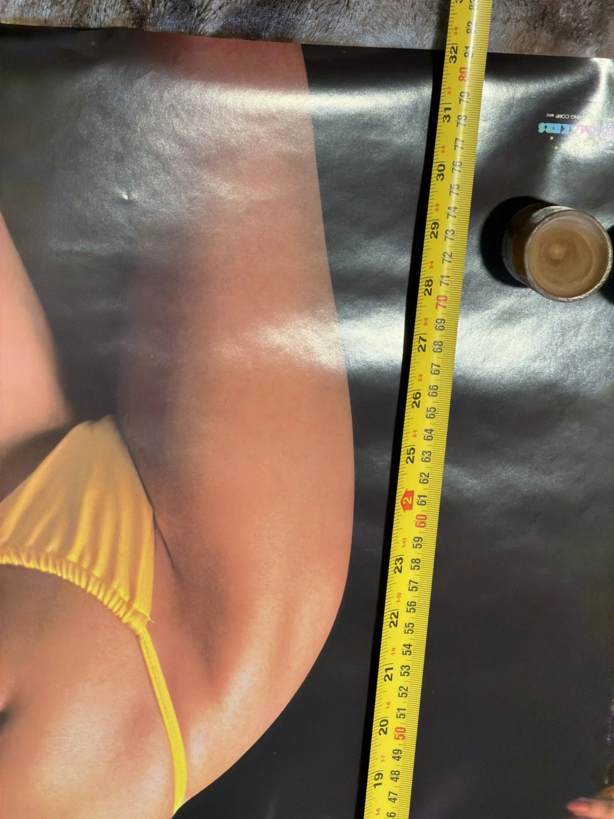Vintage Pinup Poster