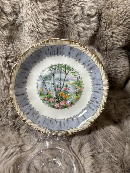 Royal Albert Bone China - Silver Birch Saucer