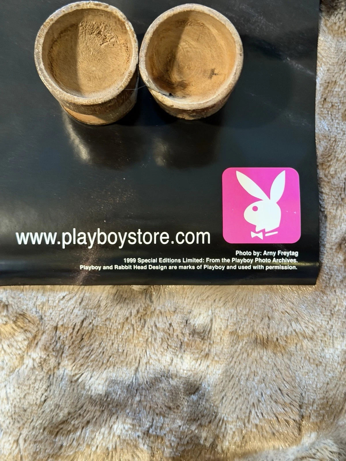 Vintage Playboy Poster - Heather Kozar