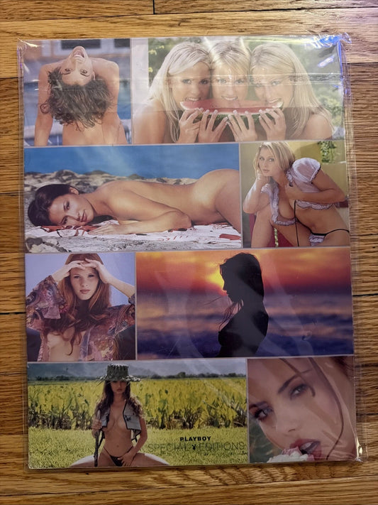 Playboy's Special Edition Girls of Summer June 2001.