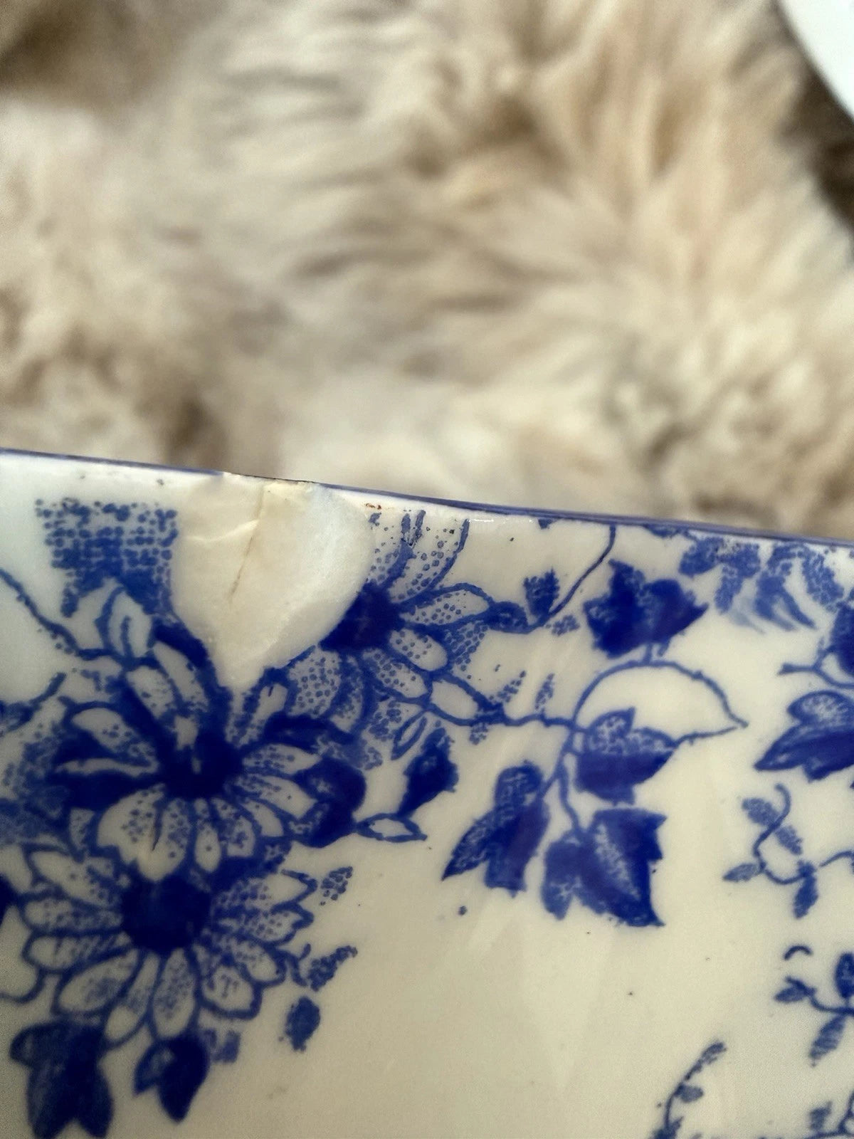 Shelley Dainty Blue Tea Cup And Saucer Set - Chips On Cup