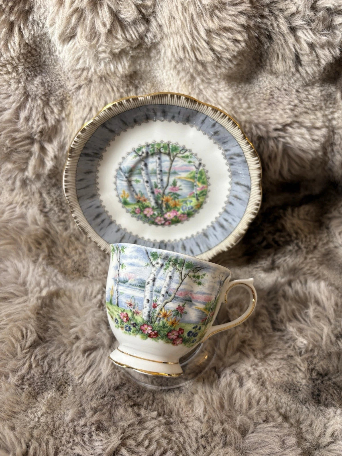 Vintage Royal Albert Silver Birch Teacup & Saucer Set – Bone China England-Pings