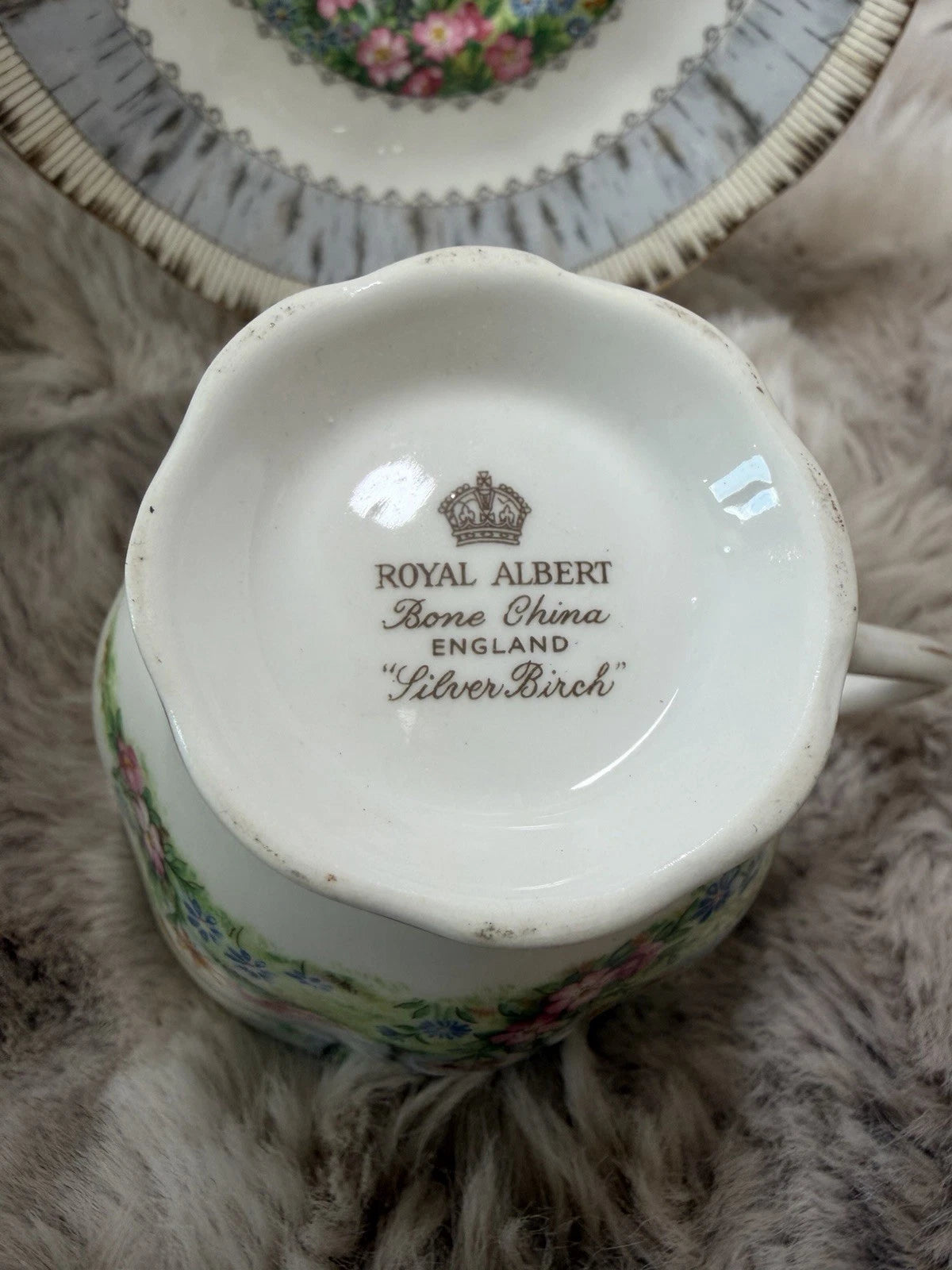 Beautiful Royal Albert Silver Birch Tea Cup & Saucer Bone China England Vintage