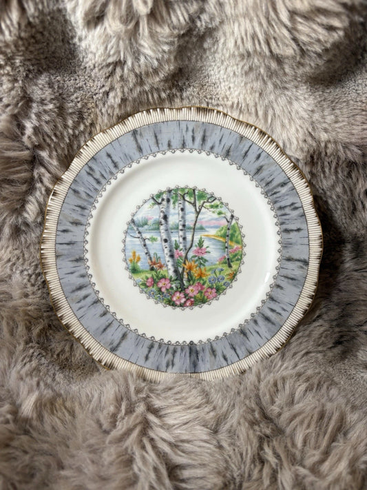 Royal Albert Silver Birch 6.25” Bread & Butter/Dessert Plate– Bone China England
