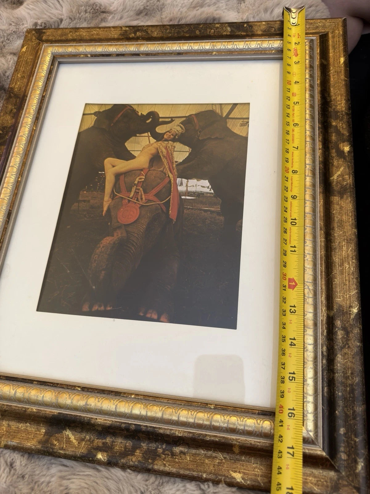 Original 1973 Playboy Magazine Page – Tina of the Tanbark (Circus Feature)