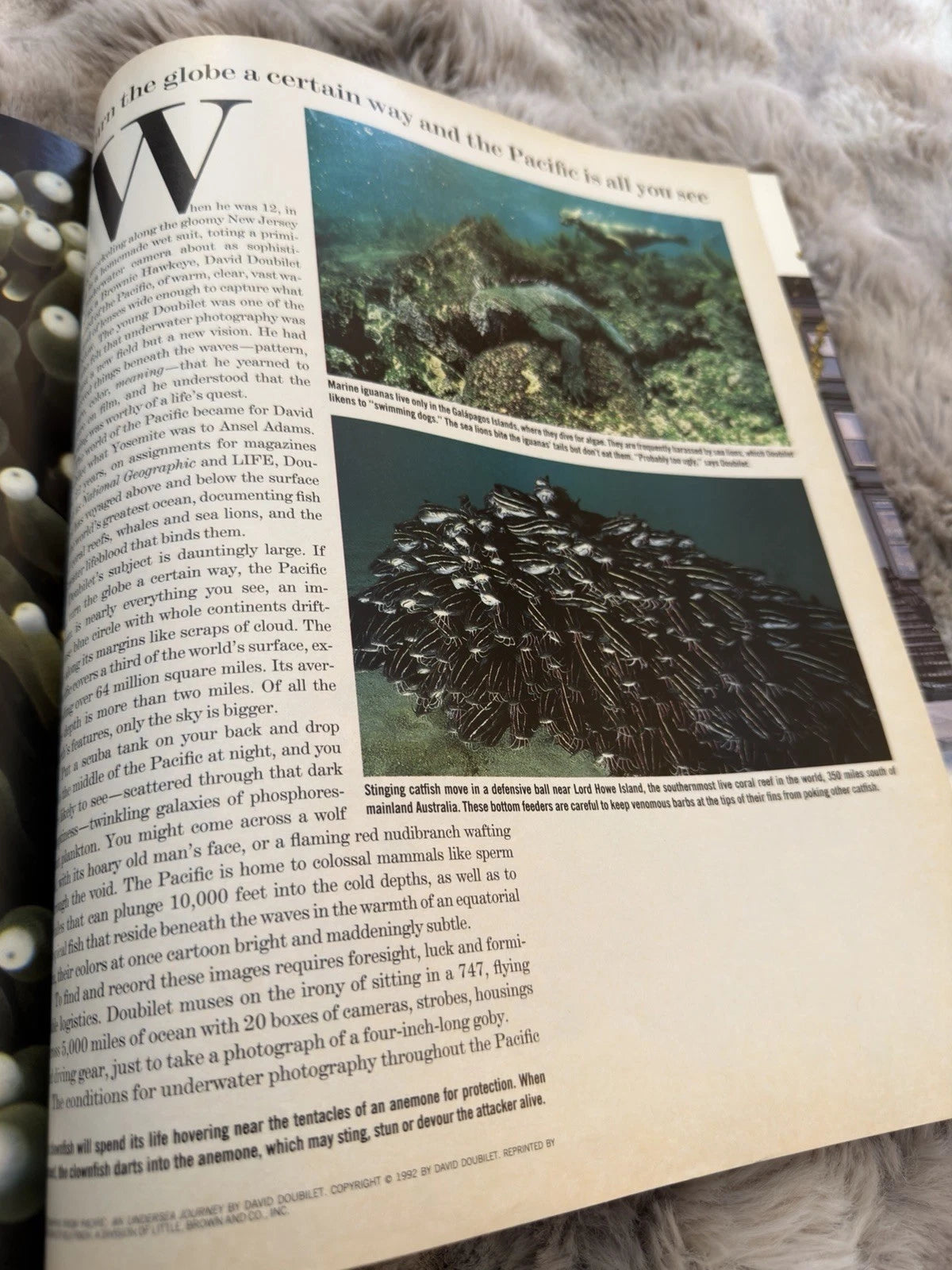 LIFE Magazine - Sep. 1992, Vol. 15 No. 9 - NASA, Dan Quayle, Pacific Ocean