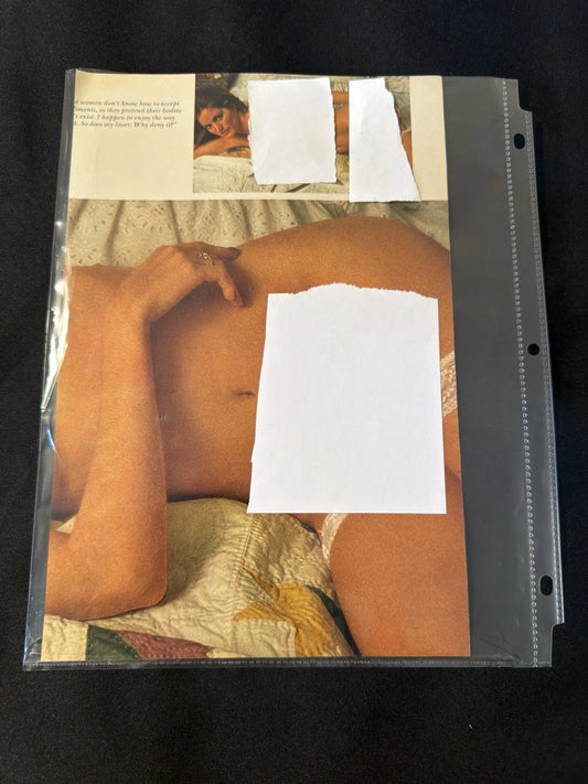Vintage Playboy Magazine Photo Page Glamour Wall Art Ephemera - Mesina Miller
